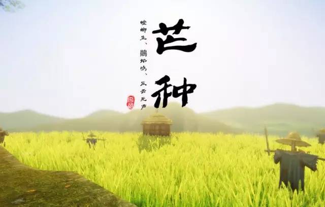 芒種！