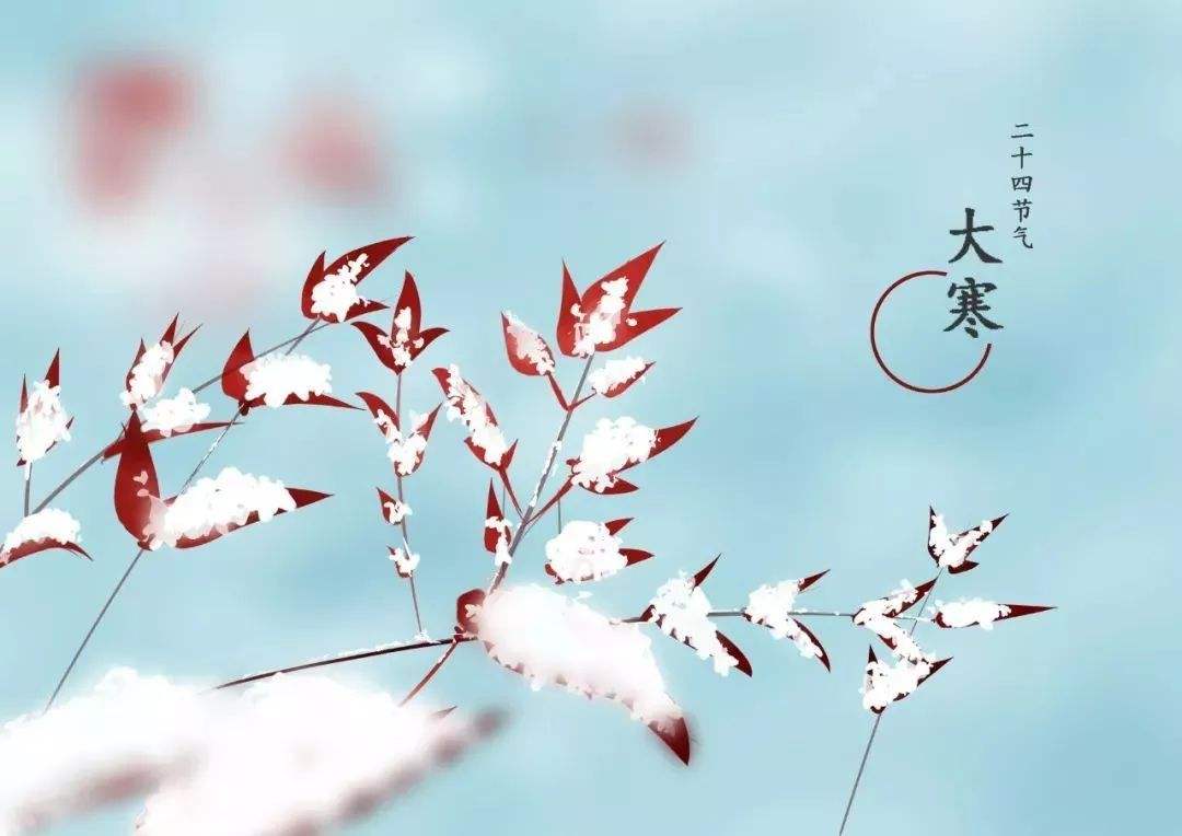 大寒雪未消，清霜梅已驕!
